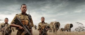Read more about the article All Female Anti-Poaching Soldiers are True Vegan Warriors