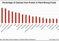 Which has more Protein, Beef or Broccoli?