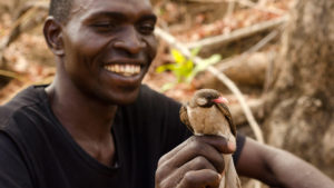 Read more about the article A Human-Avian Relationship