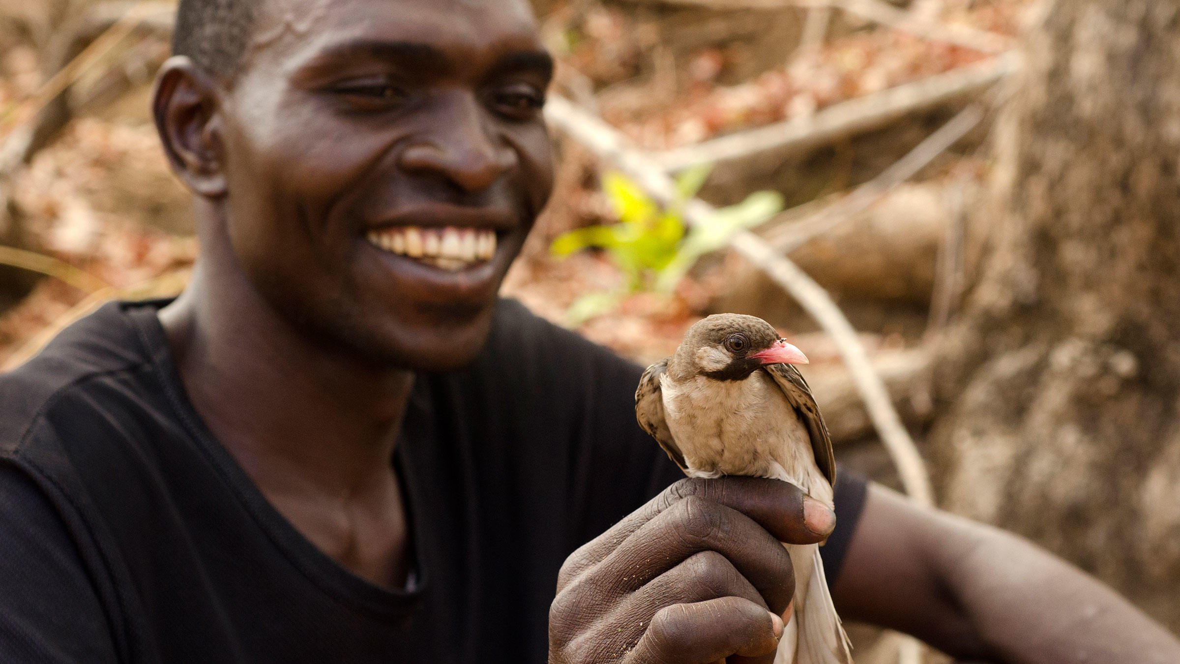 You are currently viewing A Human-Avian Relationship