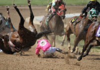 Horse Racing is Horse Killing