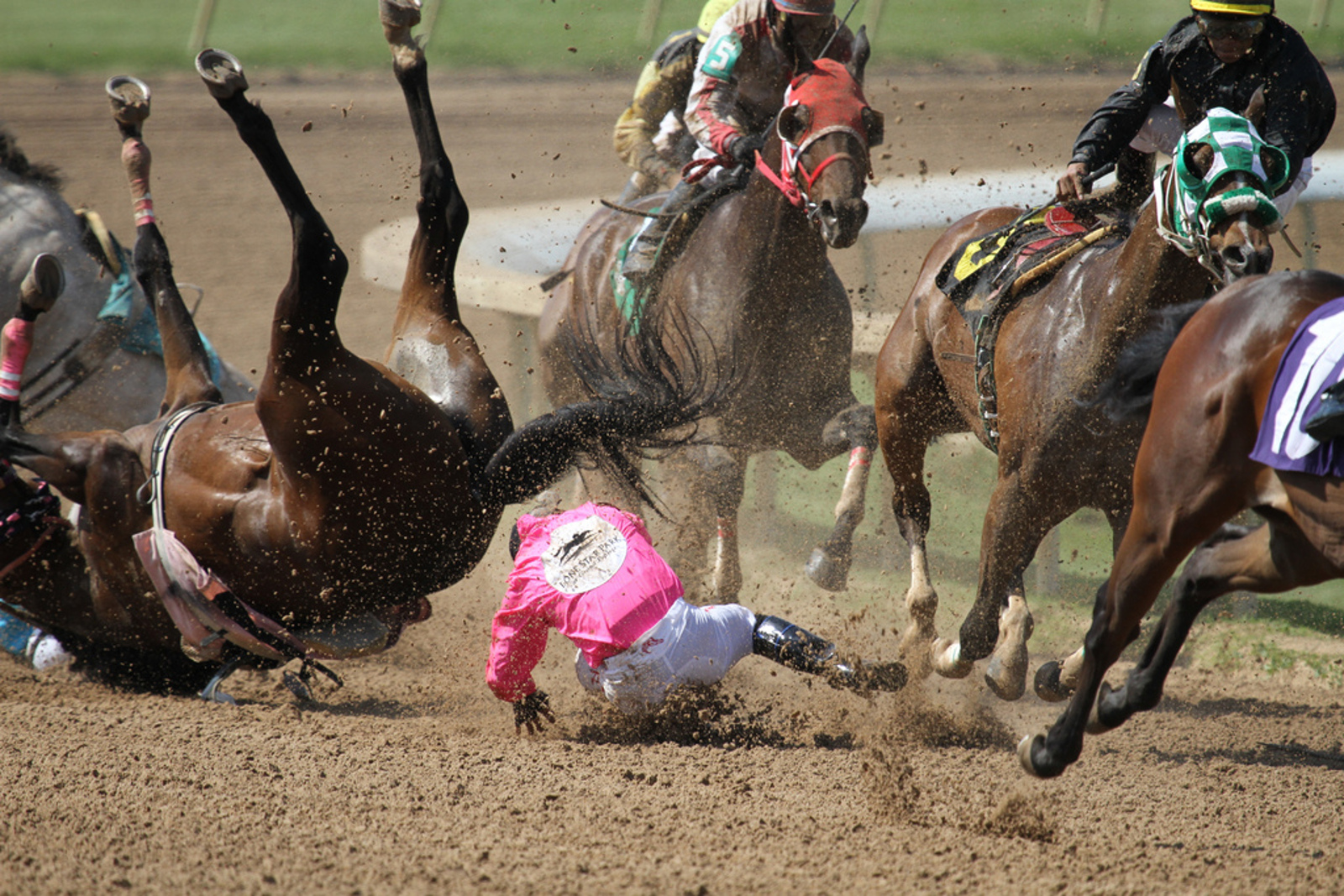 You are currently viewing Horse Racing is Horse Killing