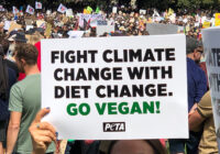Shame on “Climate Leaders” Who Downplay Animal Agriculture, and the Food on Our Plates
