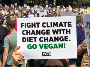 Read more about the article Shame on “Climate Leaders” Who Downplay Animal Agriculture, and the Food on Our Plates