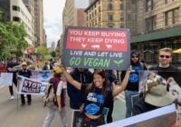 Animal Rights Activists Rock, But the Movement Needs to Do Better