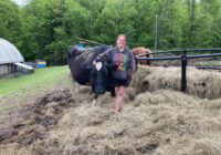 Feeling the Love at VINE Sanctuary