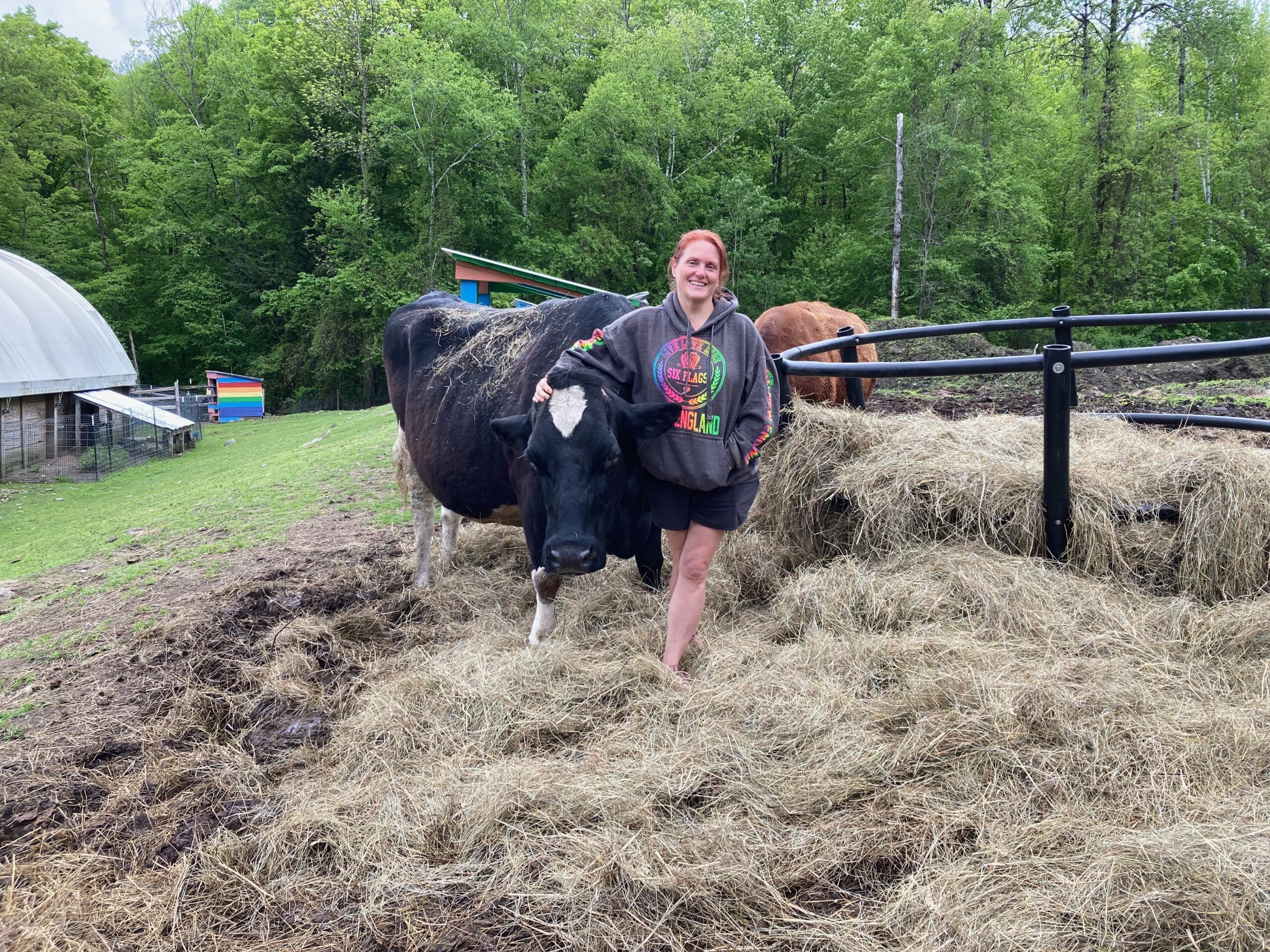 You are currently viewing Feeling the Love at VINE Sanctuary