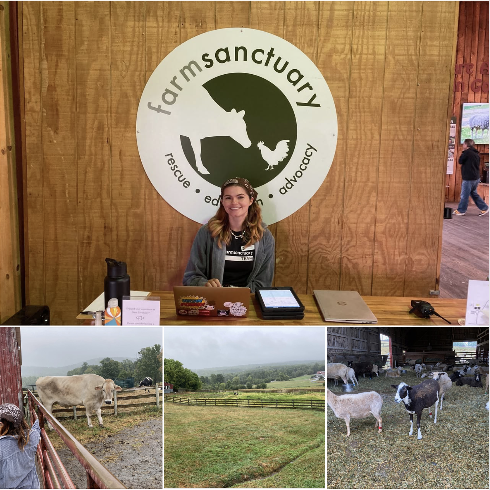 You are currently viewing Finding Peace and Hope at Farm Sanctuary