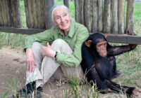 Jane Goodall: A Legacy of Hope