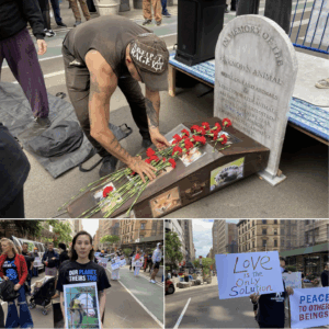 Read more about the article “Little Red Barns” Exposes the Evil of Big Ag, and the Further Rot of US Politics 