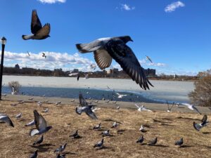 Read more about the article Advice for the Young: How to Live, Laugh & Love